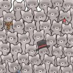 Hádanka pro opravdové génie: najděte kočku mezi mývaly za 15